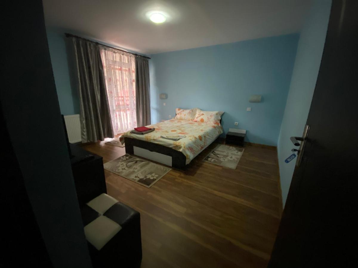 Casa Cristalina&Dumi Guest House Albac Bagian luar foto