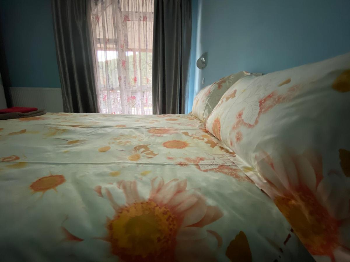 Casa Cristalina&Dumi Guest House Albac Bagian luar foto
