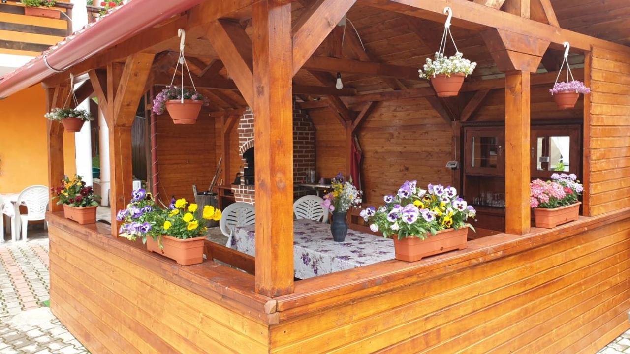 Casa Cristalina&Dumi Guest House Albac Bagian luar foto