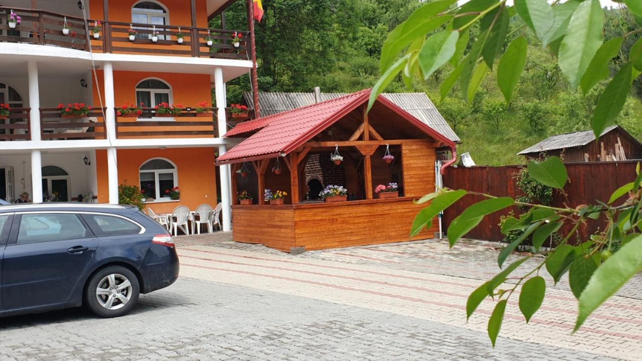 Casa Cristalina&Dumi Guest House Albac Bagian luar foto