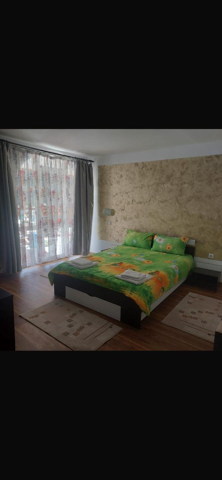 Casa Cristalina&Dumi Guest House Albac Bagian luar foto